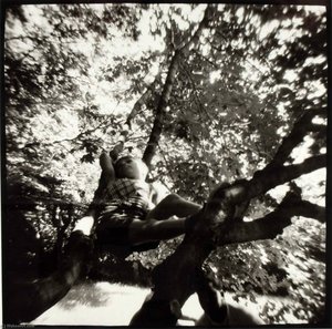Untitled (child In Tree) — Bruce Horowitz