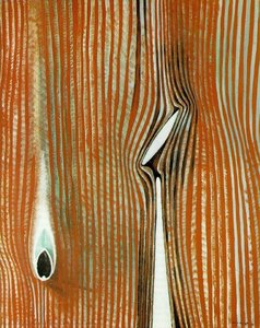 Blind Swimmer (effect Of A Touch) — Max Ernst