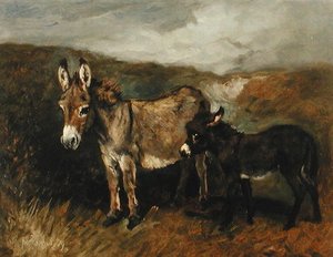Donkeys Out On The Moor — John Emms