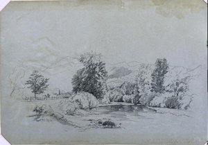 Bouquet River — David Johnson