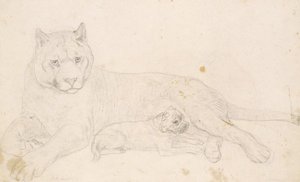 Puma And Pug At Exeter Change — John Frederick Lewis