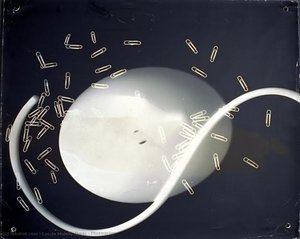 Photogram