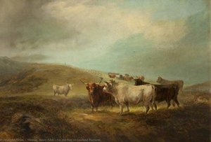 On the Way to Lowland Pastures