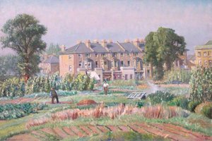 Gardens At Hammersmith Allotments — Francis Dodd