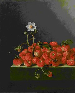 Still Life With Wild Strawberries — After Adriaen Coorte, Baroque