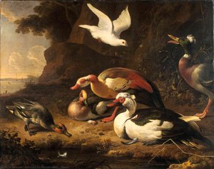 Ducks — Melchior De Hondecoetter, Baroque