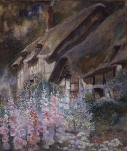 Hollyhocks — David Woodlock