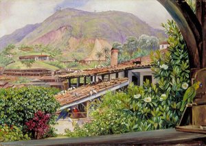 View Of The Old Gold Works From The Verandah At Morro Velho, Brazil — Marianne North