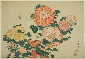 Chrysanthemums And Bee — Katsushika Hokusai
