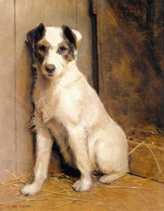 A Jack Russell — Samuel Fulton