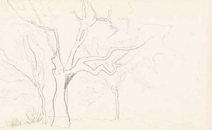 Sketch Of Tree For ''krishna'' From ''kulu'' Series — Nicholas Roerich, Symbolism
