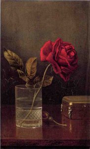 The Queen Of Roses — Martin Johnson Heade