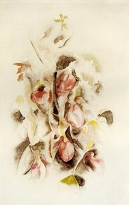 Pink Lady Slippers — Charles Demuth