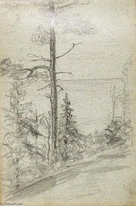 Tree By Lake — Džon Otis Adams