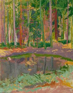 Wooded Pond — Malcolm Drummond
