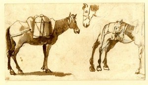 Drawing Of Mules, Including One Full Length — Claude Lorrain (claude Gellée), Baroque