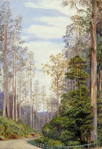 Trees Near Fernshaw, Victoria — Marianne North