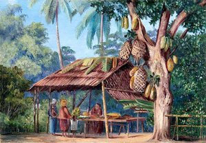 Jack Fruit Tree Shop, Malang, Java — Marianne North