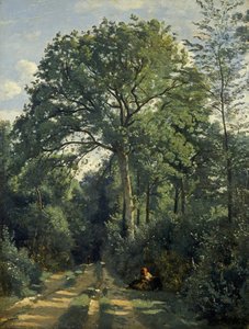 Ville-d — Jean-baptiste-camille Corot, Barbizon School