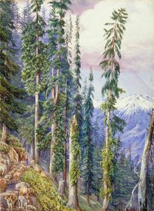 On The Way From Tibet Near Nagkunda, North India — Marianne North, Romantic Landscape Painting