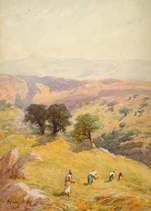 The Fields Between Jerusalem and Jericho
