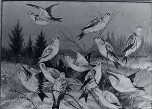 Snowbirds, (painting) — Lewis L Cross