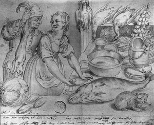 pieter feddes harlingensis