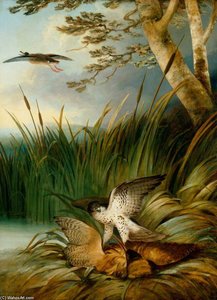 Harrier Killing A Bittern — George Philip Reinagle
