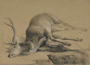 A Dead Stag — Sir Edwin Henry Landseer, Contemporary Realism