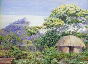 Part Of The 'residence', St John's, Kaffraria — Marianne North