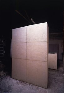 False Door — Rachel Whiteread, Contemporary Realism