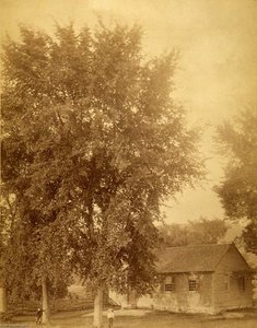 Village Schoolhouse, From The Album Views Of Charlestown, New Hampshire — Gotthelf Pach