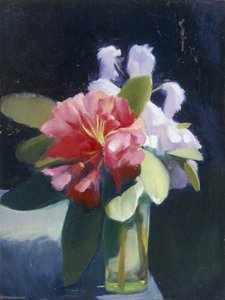 Rhododendrons (recto)