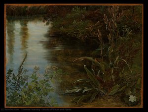Study Of Water And Plants — Thomas Fearnley