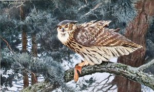 Eagle-owl — Friedrich Wilhelm Kuhnert
