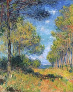 Path At Varengeville — Claude Monet