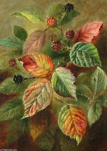 Blackberries — Albrecht Dürer