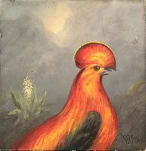 Exotic Bird — Denham Jordan