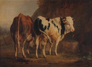 Taureau à robe blanche et noire et vache à robe brune (titre attribué)