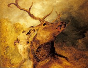 Stag And Hound — Sir Edwin Henry Landseer