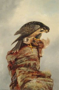 Birds Of Prey, Falcon And Dead Bird — Denham Jordan