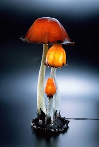 Inky Cap Lamp — Émile Gallé