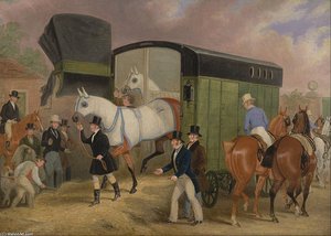 The Derby Pets- The Arrival — James Pollard