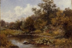 Brook At Old Storridge, Worcestershire