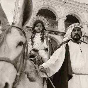 Crowned Girl On A Donkey, Guatemala — Rosalind Fox Solomon