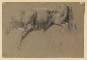 A Calf — James Ward