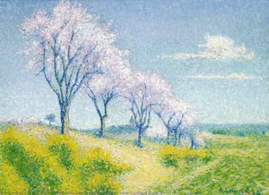 Almond Trees In Blossom Near Cailhau, Aude — Achille Laugé