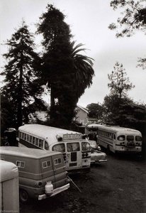 Bus People's Park — Paul Herzoff