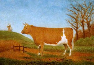 Guernsey Heifer — Denys Corbet