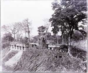 Photograph Of Palenque Taken By A.p. Maudslay — Alfred Percival Maudslay